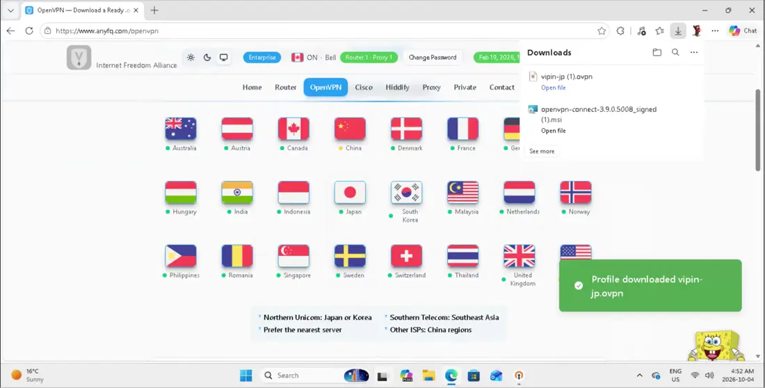 Back on the website, click the flag of the region you want, to download its profile.
