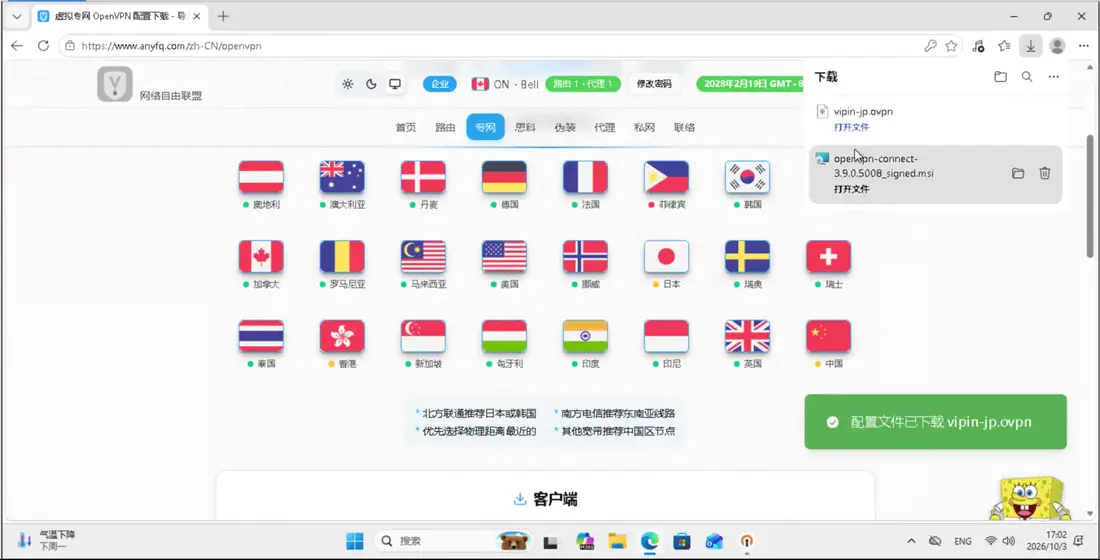 回到网站，点你想用的地区的国旗，下载配置文件。