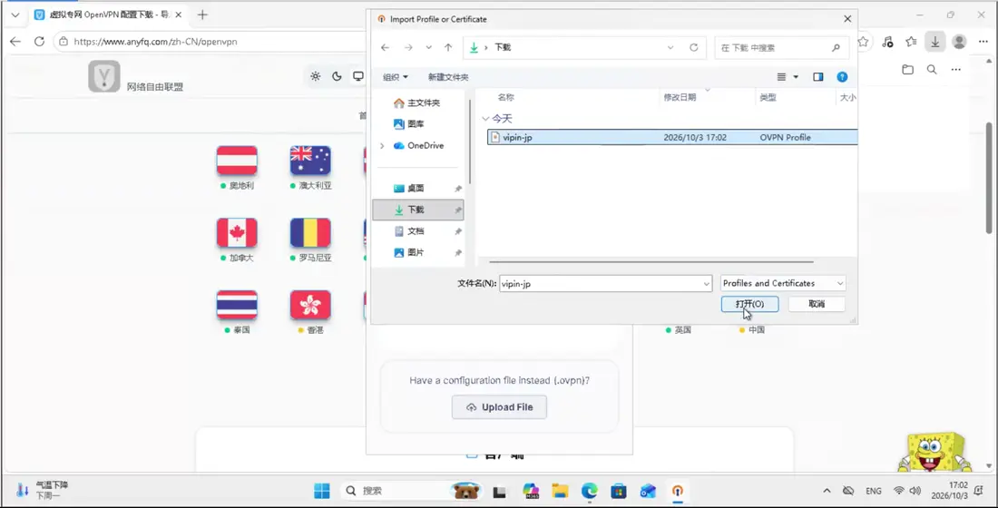 在 OpenVPN Connect 里选择上传文件，点浏览，选中刚下载的配置文件，确认导入。